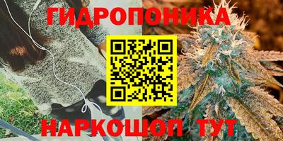 гидропоника Можга