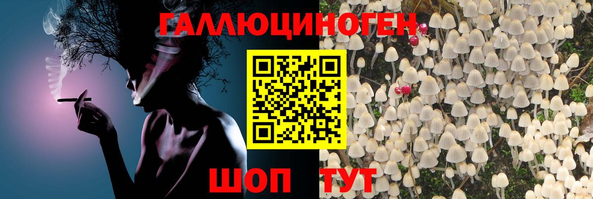 Псилоцибиновые грибы мухоморы  Вход с VPN  Рассказово 